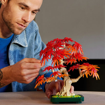 LEGO Botanical Collection (10348)