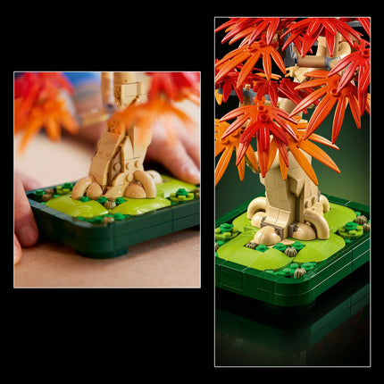 LEGO Botanical Collection (10348)