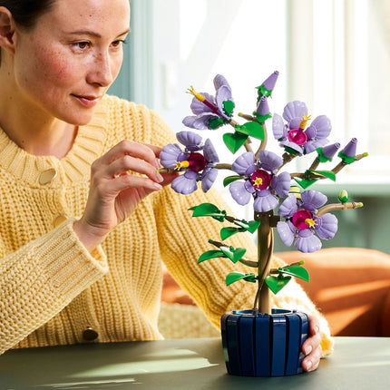 LEGO Botanical Collection (10372)