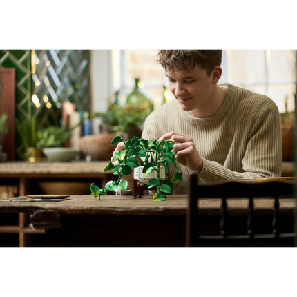 LEGO Botanical Collection (11512)