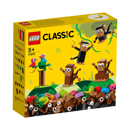 LEGO® Classic - Kreatív majommóka (11031)