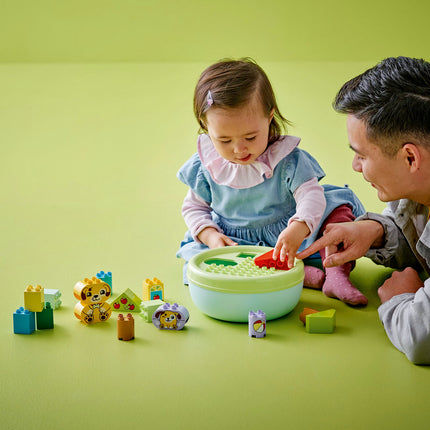 LEGO DUPLO (10441)