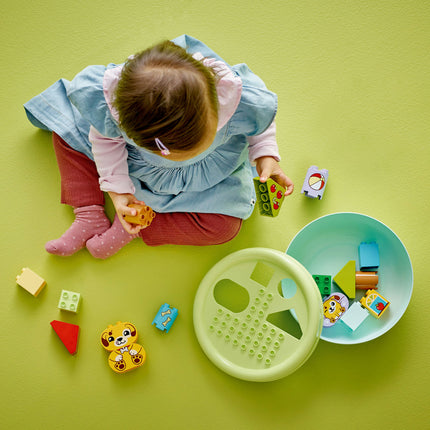 LEGO DUPLO (10441)