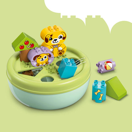 LEGO DUPLO (10441)