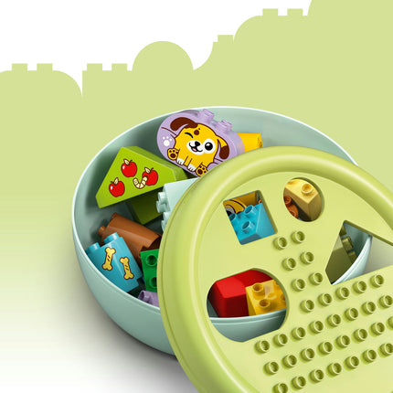LEGO DUPLO (10441)
