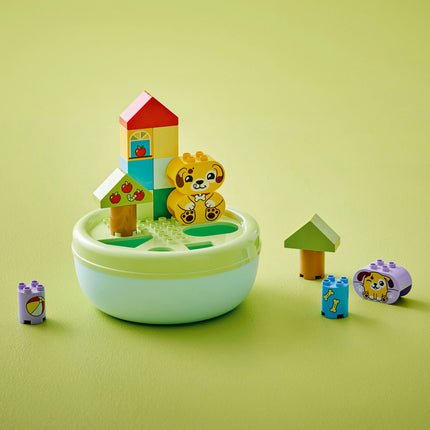 LEGO DUPLO (10441)