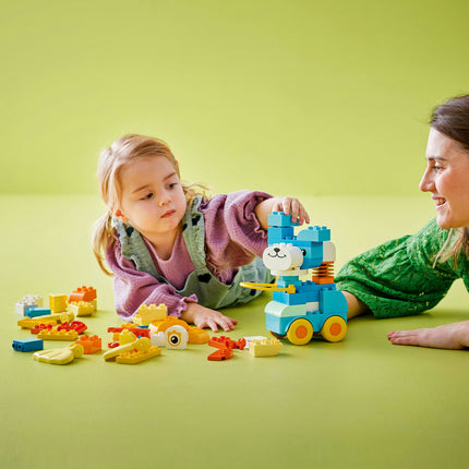 LEGO DUPLO (10448)