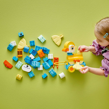 LEGO DUPLO (10448)