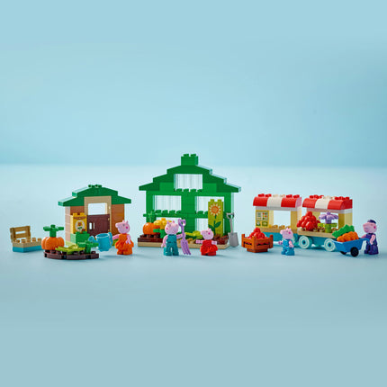 LEGO DUPLO (10461)