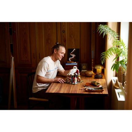 LEGO Harry Potter (76466)