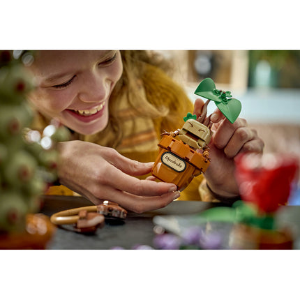 LEGO Harry Potter (76474)