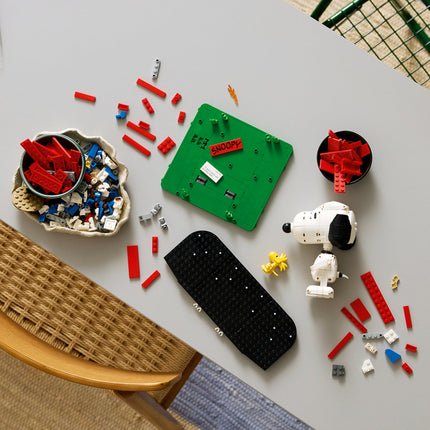LEGO Ideas (21368)