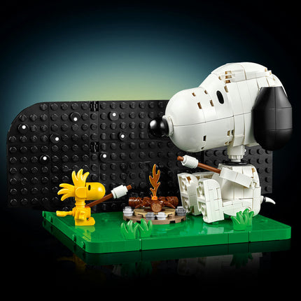 LEGO Ideas (21368)