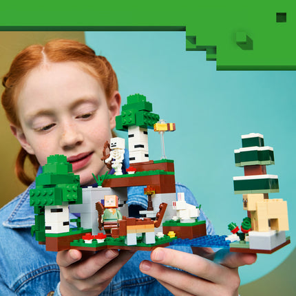 LEGO Minecraft (21593)