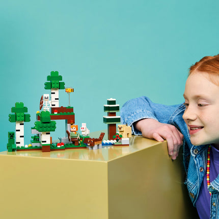 LEGO Minecraft (21593)