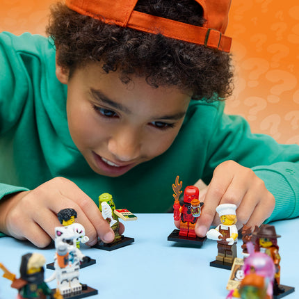 LEGO Minifigures (71052)