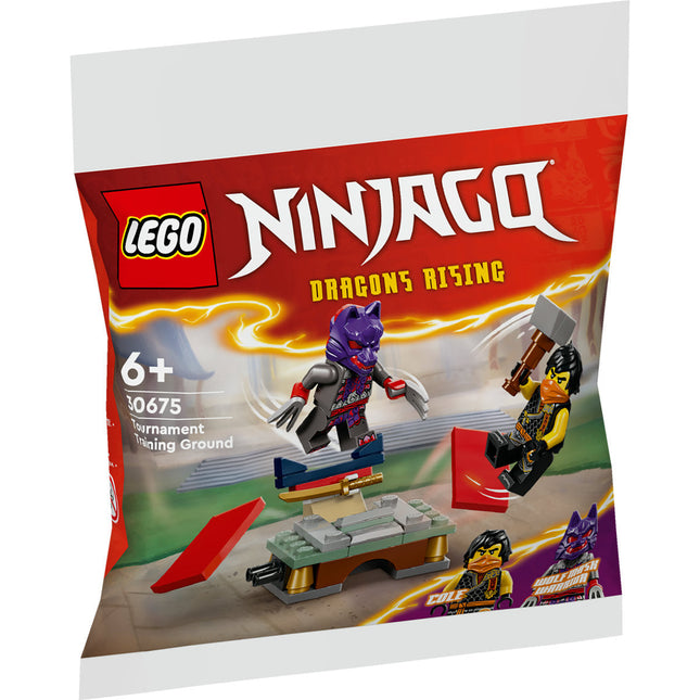 LEGO NINJAGO (30675)
